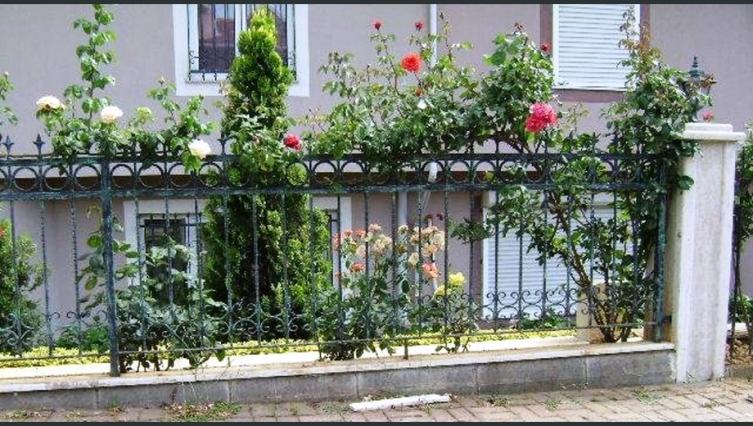 Bahçe Korkuluğu